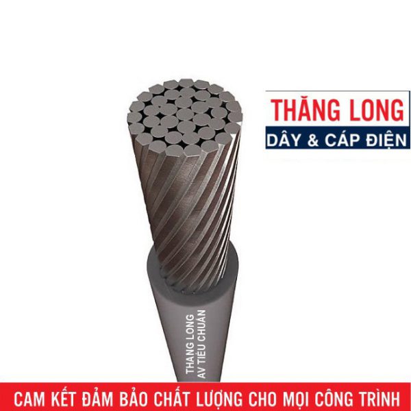 Cáp Điện Lực Hạ Thế Ruột Nhôm AV – AL/ PVC – 0.6/1kV